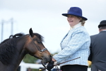Class 57: Miniature Horse 4yrs & over portfolio
