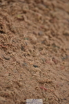 231028A-141234-01847
