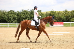 SBM_000660