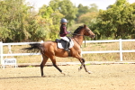 SBM_006105