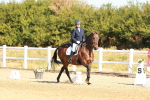 SBM_016647