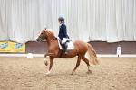 SBM_000968