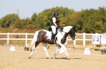 SBM_018282