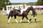 SBM_18718
