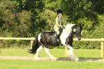 SBM_67455