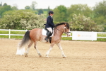 SBM_005975