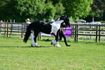 SBM_10092
