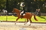 Rider 360 to 369 portfolio