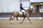 SBM_007280