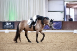 SBM_013280