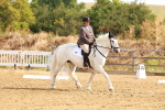 SBM_000317