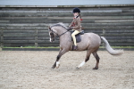 SBM_007095