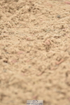 230611A-123536-05529