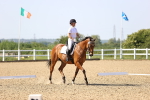 SBM_010231