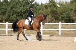 SBM_014778