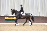 SBM_004437
