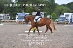 BPP_9933