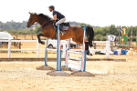 SBM_001215
