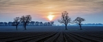 Kirton Twighlight - Suffolk