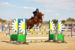 SBM_007311
