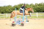 SBM_006377