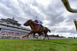 010826-Race 3-Brighton Beach-4566