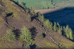 Lords Seat-5