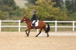 SBM_01532