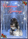 X34 Christmas Twilight