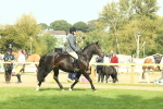 SBM_66647