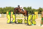 SBM_001494
