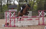 BPP_4761