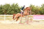 SBM_004676