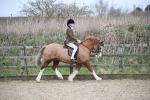 SBM_006013