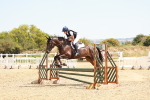 SBM_003954