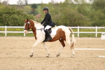 SBM_006893
