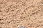 231011A-131028-00508