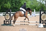 Cls 13 Clear Round 50cm portfolio
