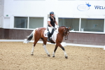 SBM_010239