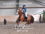 BPP_6746