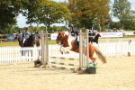SBM_46446