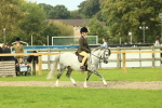 SBM_69847