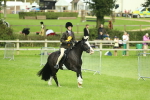 SBM_42264