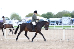 SBM_17084
