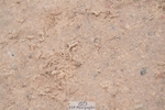 260516-160122-00786