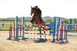 SBM_001806