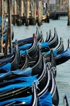 Gondola Crowd