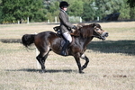 WJ7_3486