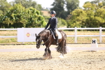 SBM_009191