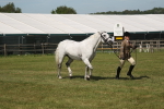 SBM_07628